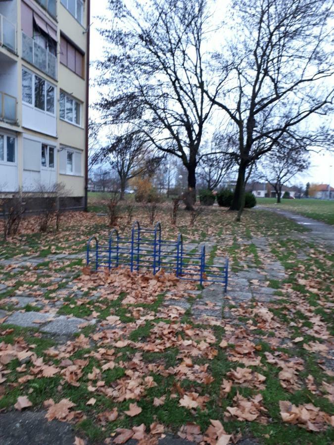 Apartment Marija